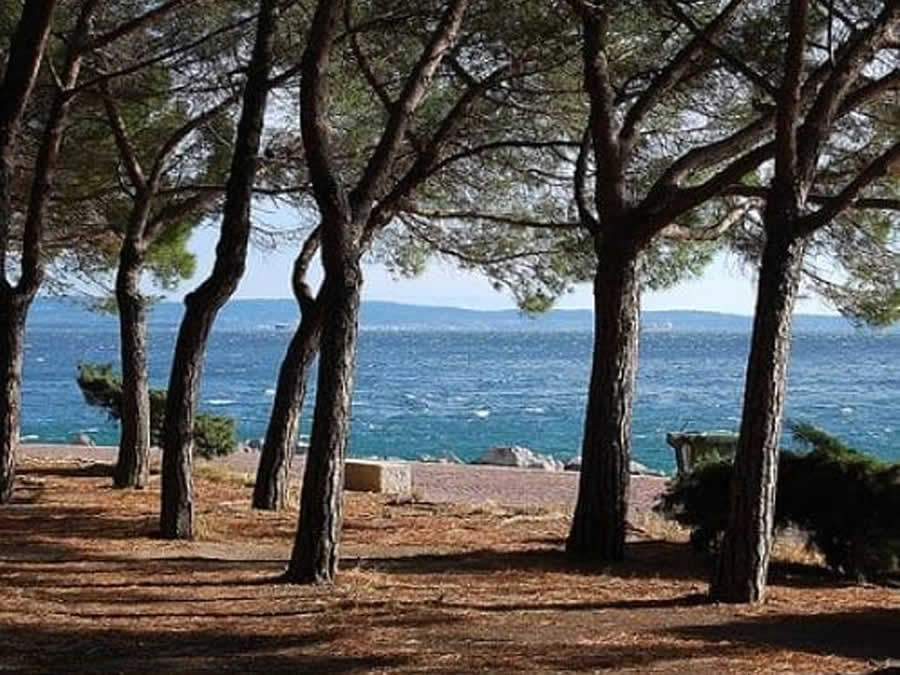 La Pineta di Barcola di Trieste